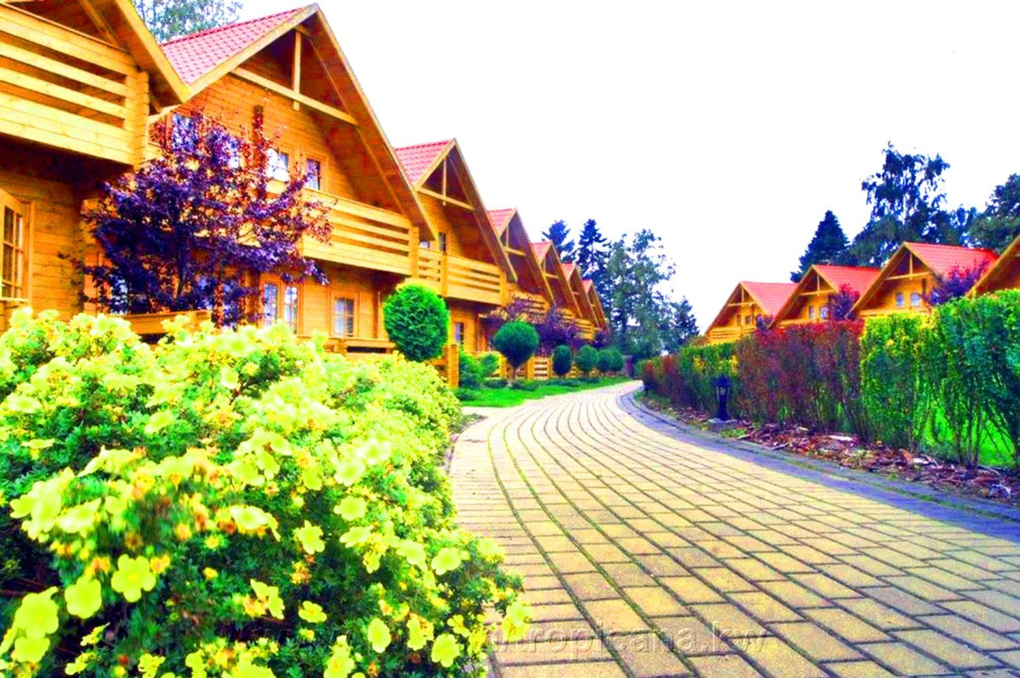 Tropicana Ϫϫ Holiday Houses Jastrzębia Góra Eksteriør billede