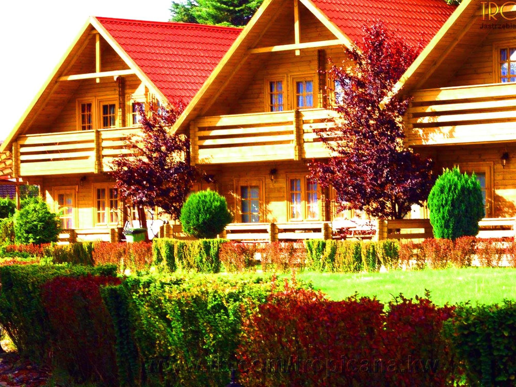 Tropicana Ϫϫ Holiday Houses Jastrzębia Góra Eksteriør billede